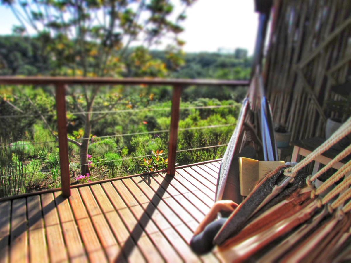 Hotel Woodlands Self Catering à Knysna Extérieur photo