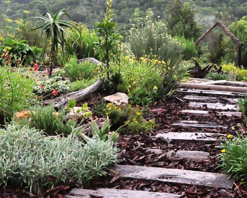Hotel Woodlands Self Catering à Knysna Extérieur photo