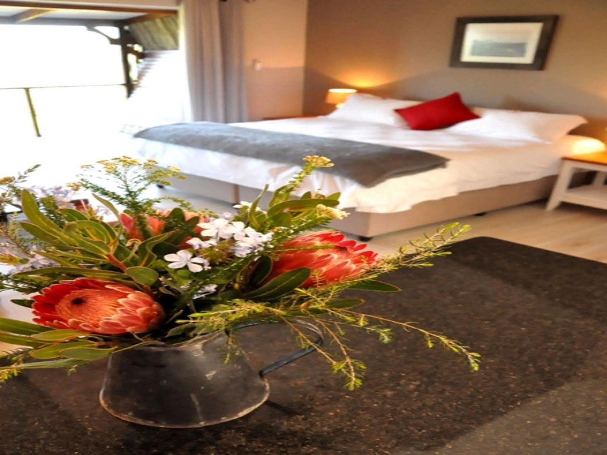 Hotel Woodlands Self Catering à Knysna Extérieur photo
