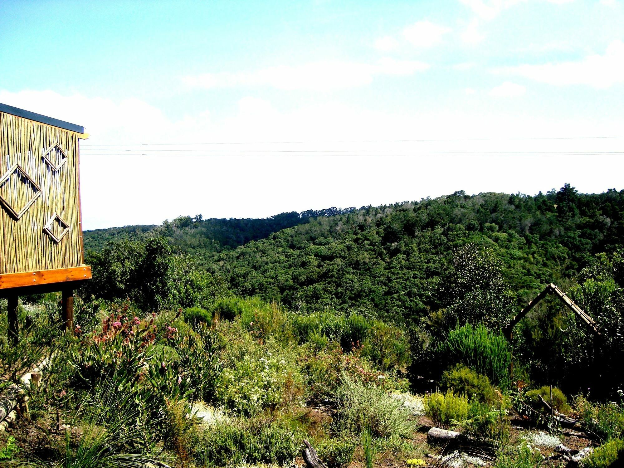 Hotel Woodlands Self Catering à Knysna Extérieur photo